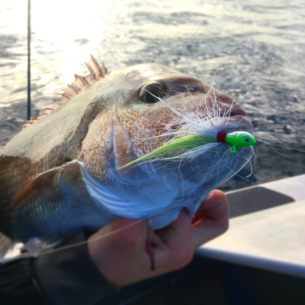 Catching Kahawai on lures - The Fishing Website