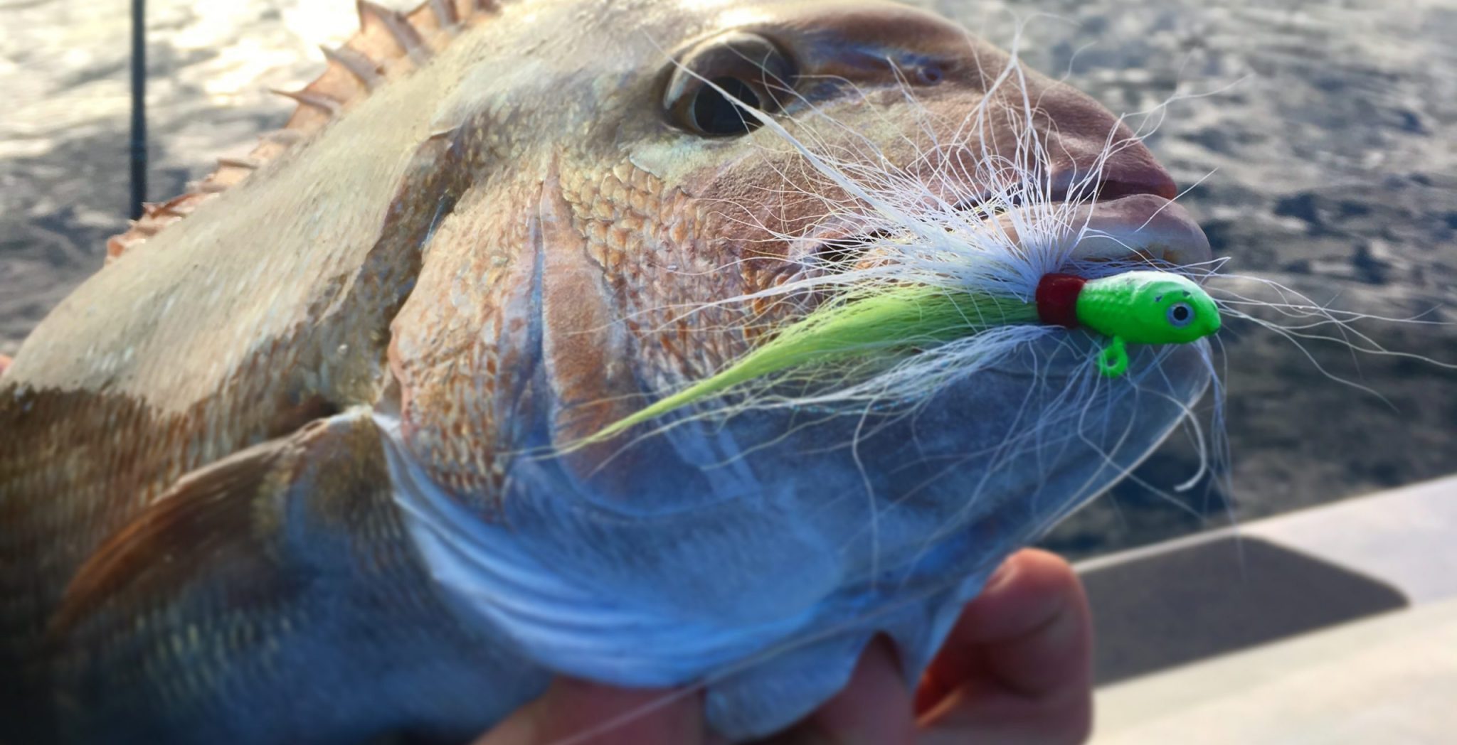 How to use Bucktail Jigs NZ guide - SnapperTackle®